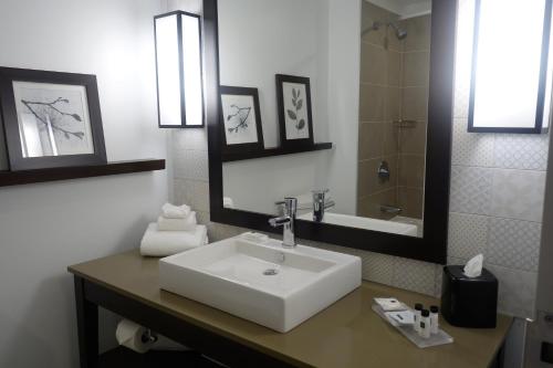 a bathroom with a white sink and a shower at Country Inn & Suites by Radisson, Belleville, ON in Belleville