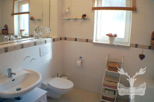 a bathroom with a toilet and a sink at Duft- und Parfümfreie Allergiker-FEWO in Mertendorf