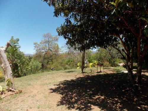 Jardín al aire libre en Leopard Tree Retreat