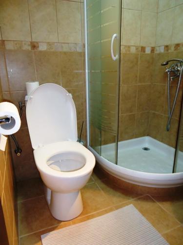 a bathroom with a toilet and a shower at Hotel Pelikan in Virpazar