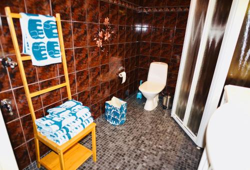 a bathroom with a toilet and a chair in it at Apartment Diana Park in Helsinki