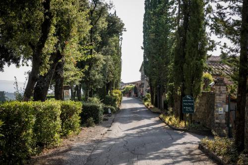 an empty street with trees on both sides of the road at Hotel Pescille Country House - Tuscany Charme in San Gimignano