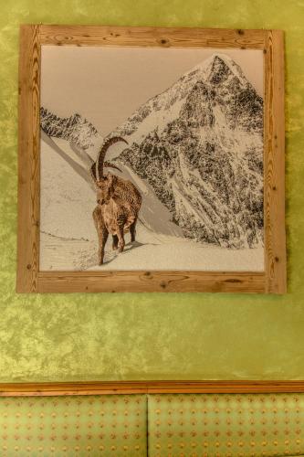 a picture of a cat in front of a mountain at Hotel Lo Fleyé in Saint-Pierre
