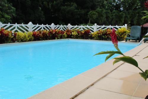 a blue swimming pool with a white fence and flowers at Villa Hausseman in Rivière-Pilote