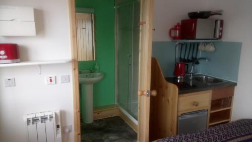 a small kitchen with green walls and a sink and a sink at Otter Bothy in Uig