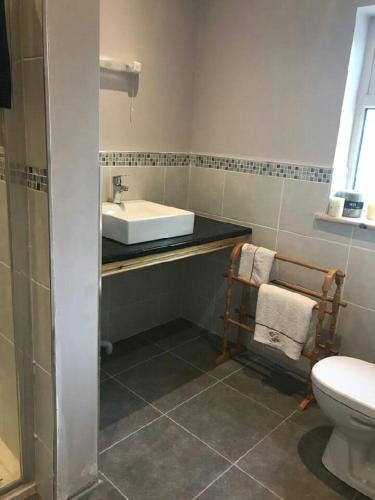 La salle de bains est pourvue d'un lavabo et de toilettes. dans l'établissement Ash Lodge Leitrim Village, à Leitrim