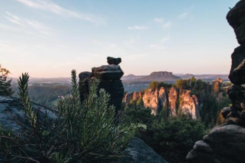 a bear sitting on a rock at the top of a mountain at Manufaktur Boutique Hotel in Stadt Wehlen