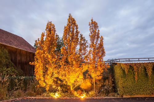 a group of trees in a yard with lights at Brucknergut in Linz