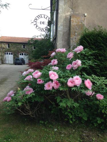 a bunch of pink roses in front of a building at Le Domaine De Pomone in Woinville
