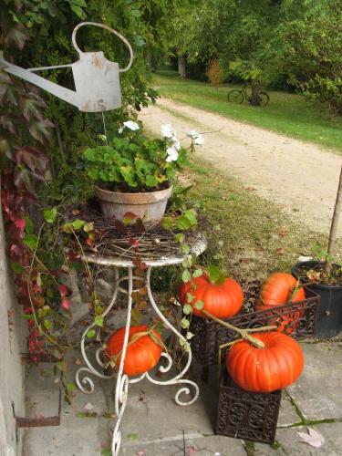 a table with pumpkins and a plant on it at Le Domaine De Pomone in Woinville