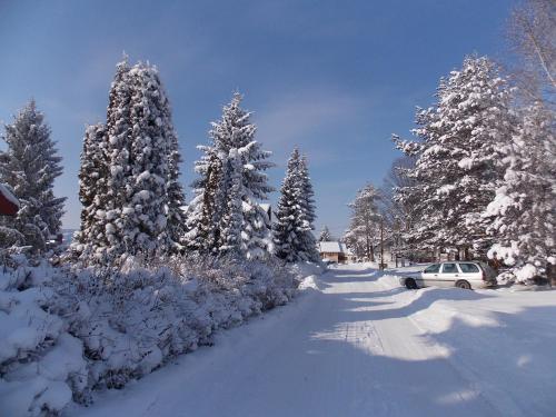 a snow covered road with snow covered trees and a car at Apartmani OKO Zlatibor in Zlatibor