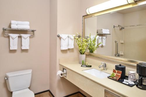 La salle de bains est pourvue de toilettes, d'un lavabo et d'un miroir. dans l'établissement Hotel Chino Hills, à Chino Hills