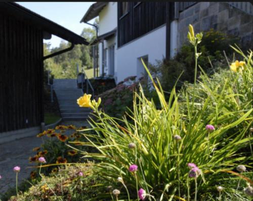 a garden with flowers in front of a house at LICHTECK - Helle Ferien in Breitenberg
