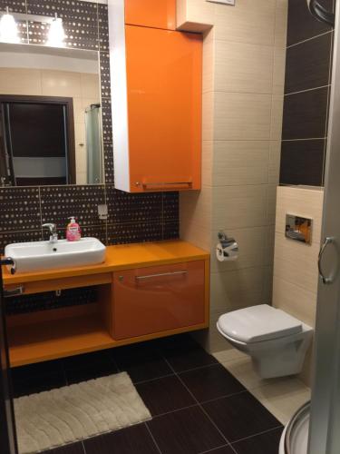 シュクラルスカ・ポレンバにあるIzabelaのバスルーム(洗面台、トイレ、鏡付)