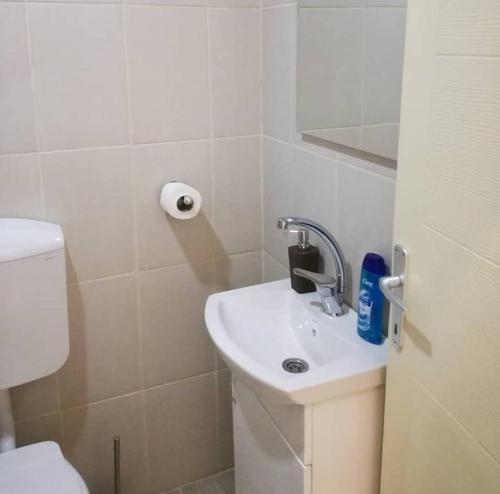 uma casa de banho com um lavatório e um WC em Apartmani Maja Zrenjanin em Zrenjanin