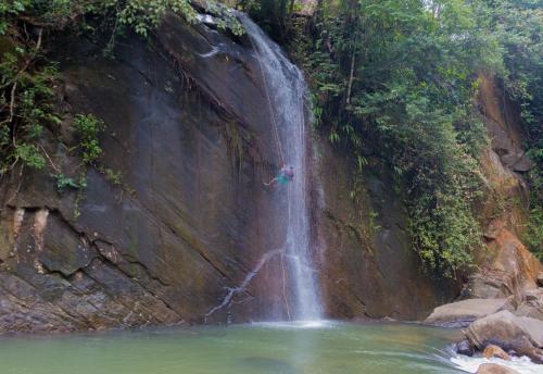 Jungle River – Photos 3