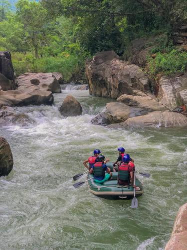 Jungle River – Photos 4