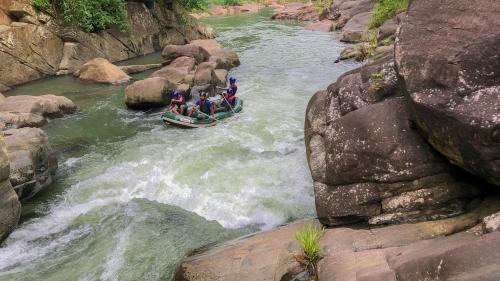 Jungle River – Photos 5
