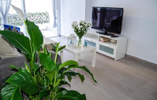 Apartamento jacarplaya