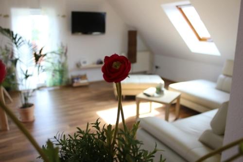 a living room with a red rose in the foreground at Lindenhof in Thiendorf