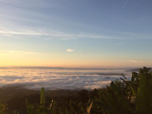 a view from the top of a mountain with clouds at DoiTung Homestay ดอยตุงโฮมสเตย์ in Chiang Rai