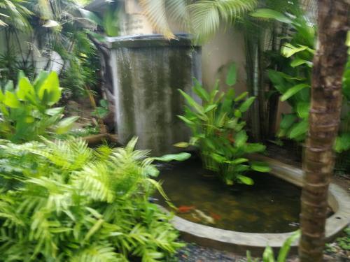 a fish pond in a garden with a waterfall at Reuan Phaolai in Bophut 