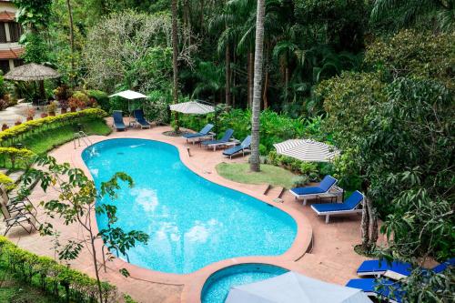 an overhead view of a swimming pool with chairs and umbrellas at Tranquil Resort - Blusalzz Collection, Wayanad - Kerala in Ambalavayal