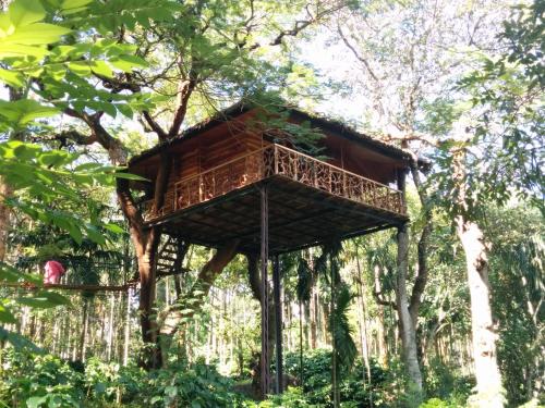 ein Baumhaus mitten im Wald in der Unterkunft Tranquil Resort - Blusalzz Collection, Wayanad - Kerala in Ambalavayal
