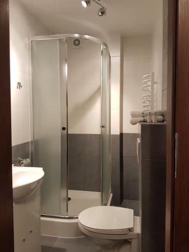 a bathroom with a shower with a toilet and a sink at Ale Widok in Wisła