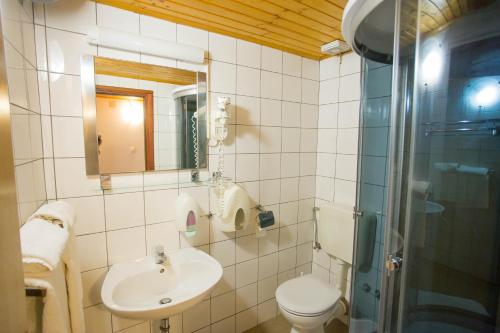 uma casa de banho com um lavatório, um WC e um chuveiro em Aparthotel Pecic em Gradac