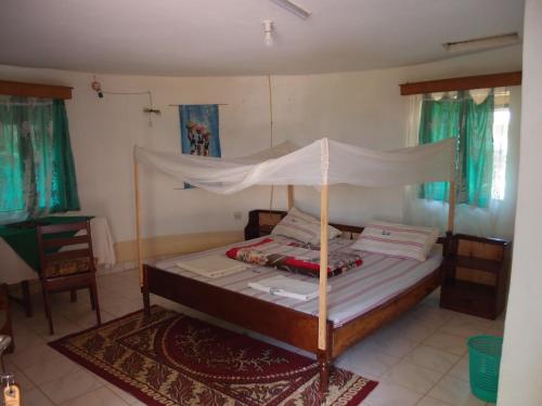 a bedroom with a bed with a canopy and a rug at Salem Uganda Guesthouse in Mbale