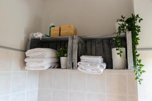 a shelf in a bathroom with towels and plants at Ai Bastiani in Capannori