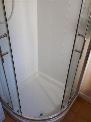 a shower with a glass door in a bathroom at Dewhamill in Bellaghy