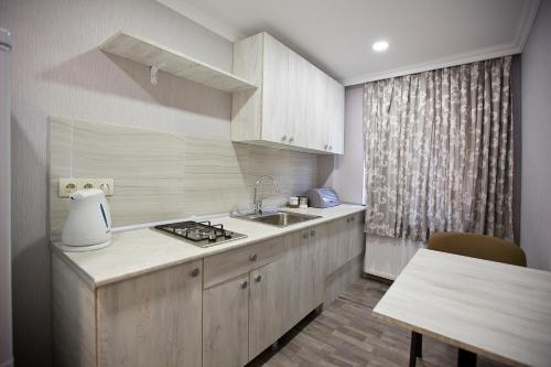 - une cuisine avec un évier et un comptoir dans l'établissement Metekhi Corner Apartments, à Tbilissi
