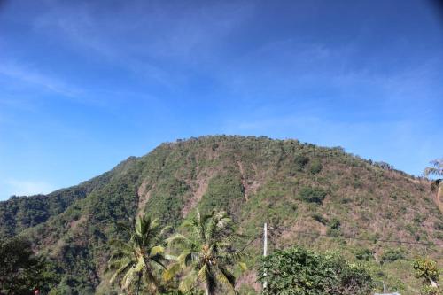 a mountain with palm trees in front of it at Sekumpul Accommodation in Singaraja