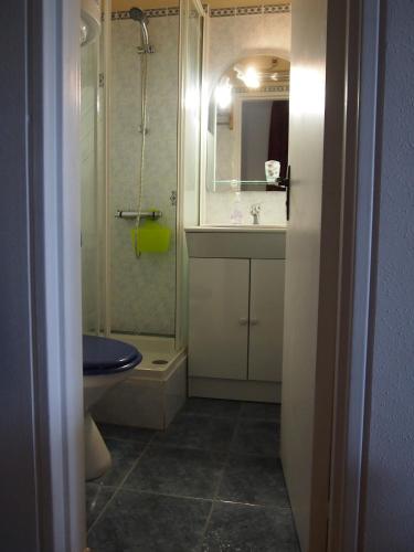 une salle de bain avec une douche, un lavabo et des toilettes dans l'établissement Studio-cabine simple et fonctionnel à Houlgate, à Houlgate