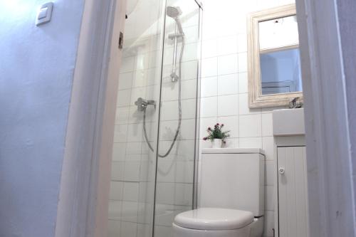 セビリアにあるApartamento en el Corazón de Sevillaのバスルーム(シャワー、トイレ、洗面台付)