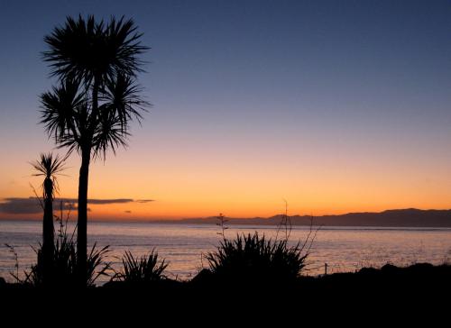 a palm tree in front of the ocean at sunset at Twin Waters Lodge in Collingwood