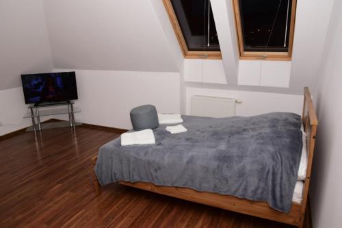 een slaapkamer met een bed en een tv. bij Apartament Boróweczka in Polkowice