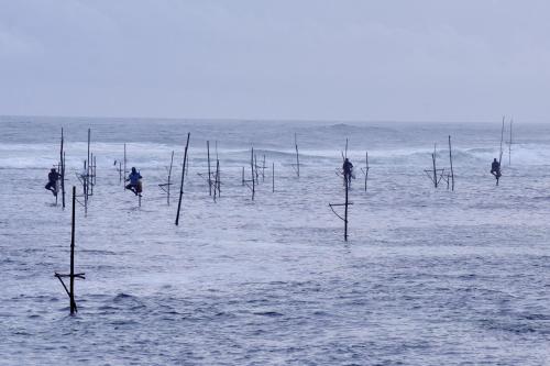 a group of people in the water with sticks in the water at Villa Polhena in Matara