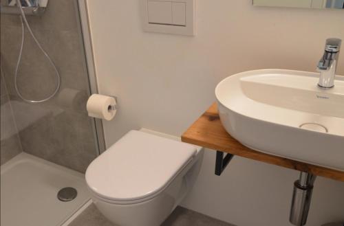 a bathroom with a sink and a toilet and a shower at Antica Sosta dei Viandanti in Cadenazzo
