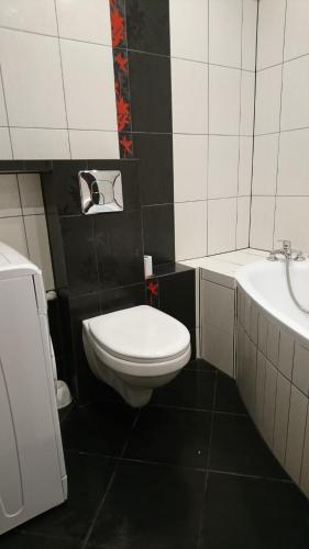 ポルコビツェにあるApartament Boróweczkaのバスルーム(白いトイレ、シンク付)