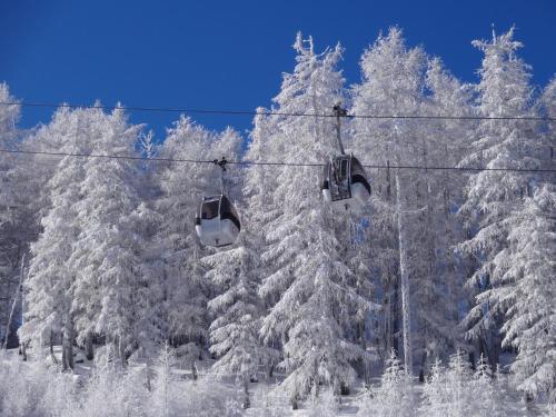 a group of snow covered trees on a ski lift at Kärnten Apartment Turnersee in Sankt Kanzian