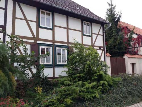 Zahrada ubytování Gästhaus