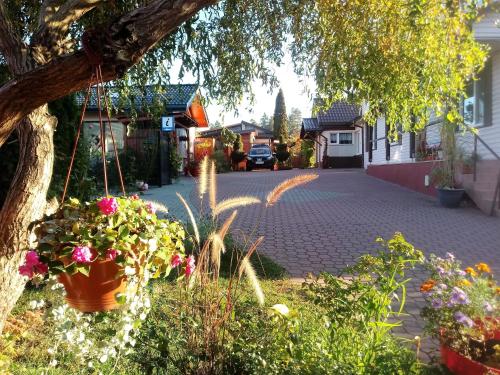 a flower pot hanging from a tree in a yard at Pokoje PETRA pod Bocianem in Supraśl