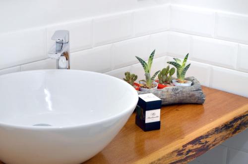 a bathroom with a white sink and plants on a wooden counter at Barbarella Home in Naples