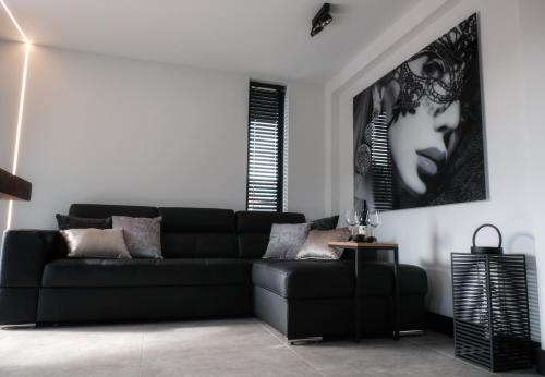 a living room with a black couch and a picture at Lusandre in Olen