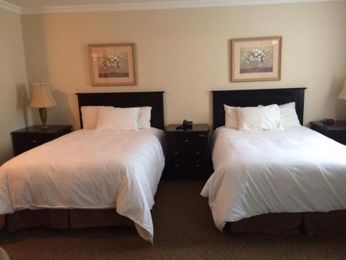 a hotel room with two beds with white sheets at Monastery Hotel in St. John's