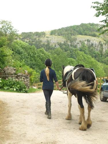 a woman walking a horse down a dirt road at Witherslack Hall Farmhouse in Grange Over Sands