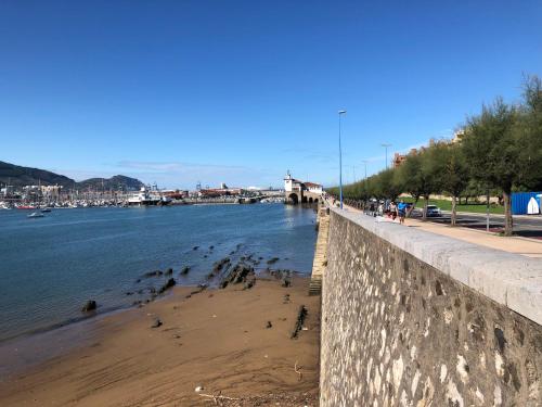 a group of birds on a beach next to the water at Pensión Basagoiti in Getxo